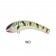 Oar-Gee Lures Plow Rattle 60mm