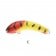 Oar-Gee Lures Plow Rattle 75mm