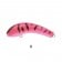 Oar-Gee Lures Plow Rattle 75mm