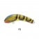 Oar-Gee Lures Plow Rattle 75mm