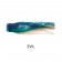 Remora Pear