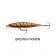 Rapala Shadow Rap Jerkbait