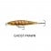Rapala Shadow Rap Jerkbait