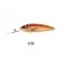 Reidys Goulburn Jack