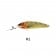 Reidys Goulburn Jack