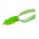 River2Sea Bully WA Frog