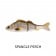 Westin Percy The Perch HL Inline