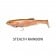 Megabass Magdraft