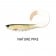 Storm RIP Curly Tail