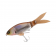 Jackall Slick Bait Lure