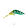 Kuttafurra Moulded Mudhoney Lure