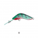 Kuttafurra Moulded Mudhoney Lure