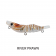 Shads Lures Estuary Prawn Topwater Lure