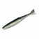 Z-Man ChatterShad Lure