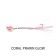 Vexed Bottom Worm Long Shank Jig - 60g-100g
