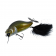 Adusta Zacrawl SC Lure