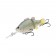 Barambah Lures Baby Perch