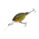 Barambah Lures Deton8or DF Lure