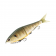 Berkley PowerBait Chop Block Lure