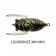 Tiemco Soft Shell Cicada Evo Lure