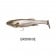 Megabass Magdraft