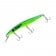 Classic 160mm Barra +10