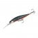 Duo Realis Jerkbait 100SP DR