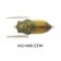 Tiemco Soft Shell Cicada Evo Lure
