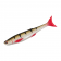 Irukandji Bloodhawk Lure