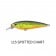 Jaz Lures Rapide Shallow - 90mm