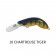 Jaz Lures Tenterfield Shrimp