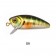 Harima Mazzy Popper