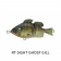 Jackall Baby Giron Lure
