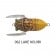 Tiemco Soft Shell Cicada Evo Lure