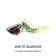 Catch Beady Eye Kabura Jig