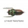 Tiemco Soft Shell Cicada Evo Lure