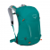 Osprey Hikelite 26 Backpack