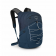 Osprey Quasar Backpack