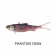 Samaki Vibelicious 70mm