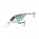 Rapala Shad Rap Elite 55 Lure