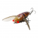 Samaki Redic Cicada Lure