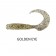 Samaki Boom Baits Curlicious