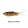 Samaki Vibelicious 70mm