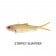 Samaki Vibelicious 125mm