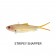 Samaki Vibelicious 150mm