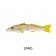 MMD Whiting Glide 180 Floating Lure
