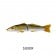 MMD Whiting Glide 180 Floating Lure