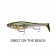 Rapala X-Rap Peto
