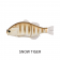 Jackall Gantarel Jointed Swimbait