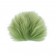 Tiewell Finn Racoon Fur